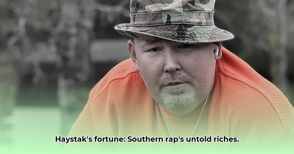 haystack-rapper-net-worth